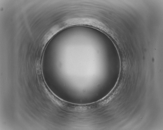 X0000068261521200604211031