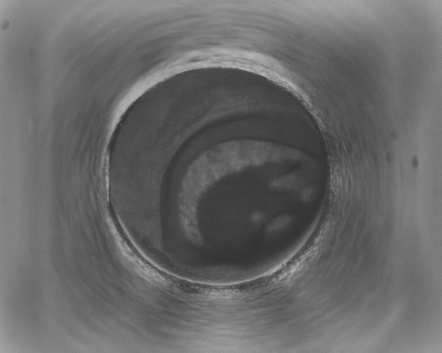 X0000068261522200604211031