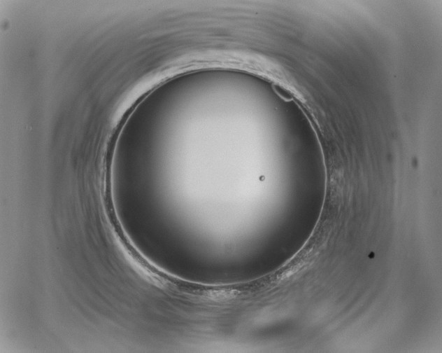 X0000068261523200604211031