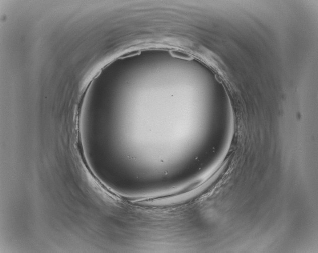 X0000068261524200604211031