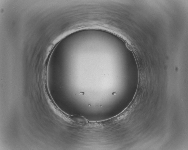 X0000068261526200604211031