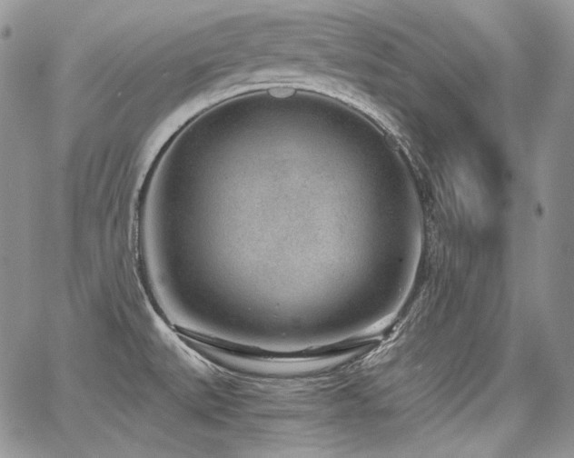 X0000068261527200604211031