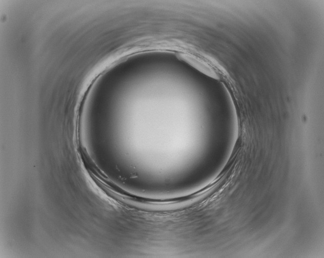 X0000068261528200604211031