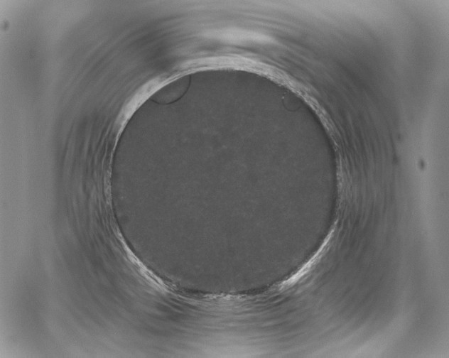 X0000068261529200604211031