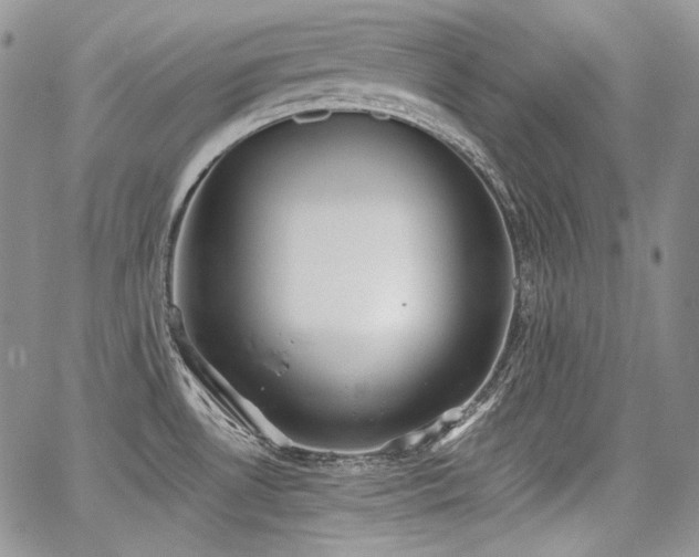 X0000068261530200604211031