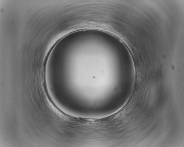 X0000068261531200604211031