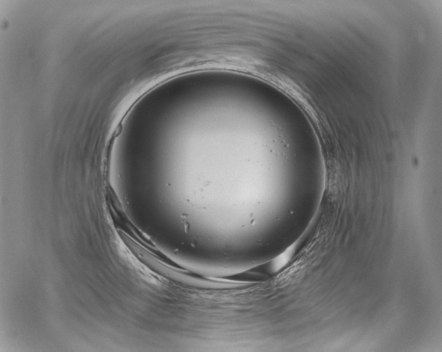 X0000068261532200604211031