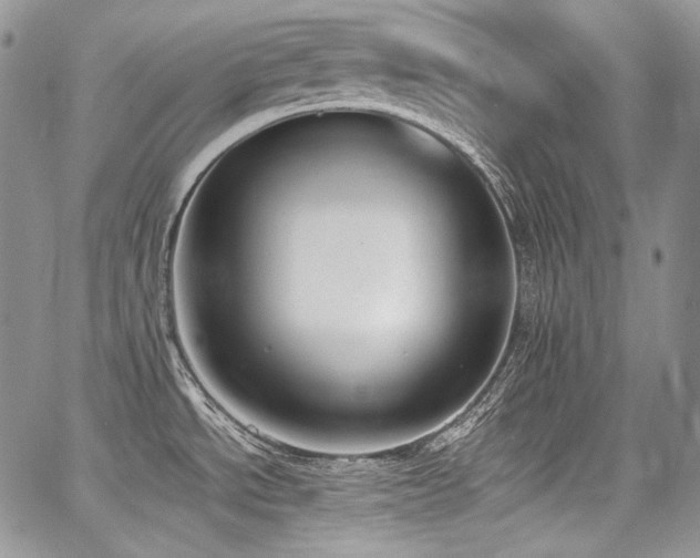 X0000068261534200604211032