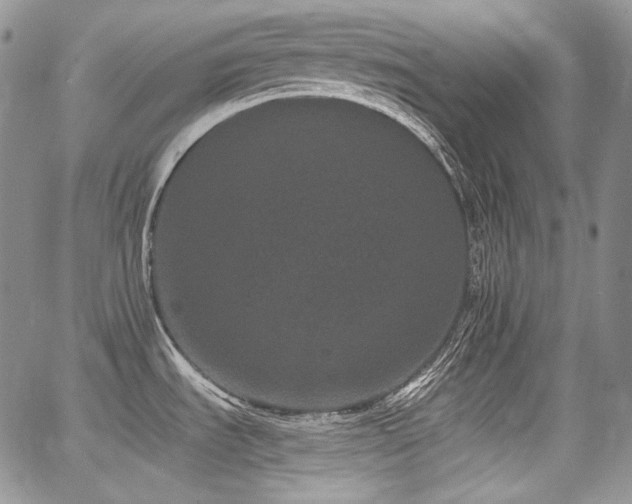 X0000068261535200604211032