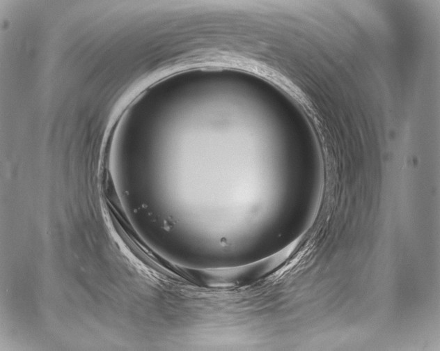 X0000068261536200604211032