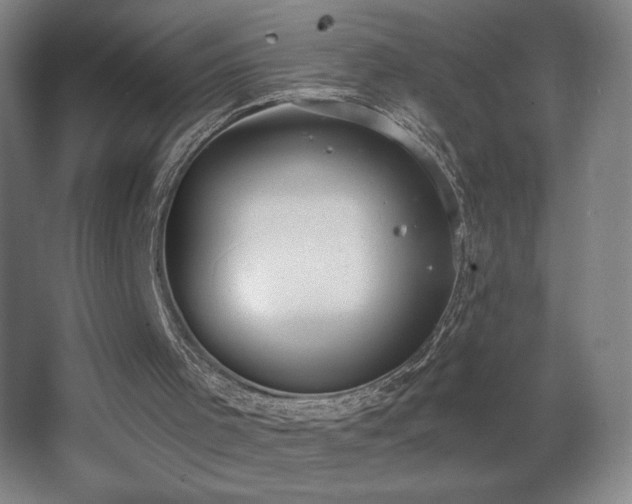 X0000068260001200604241244