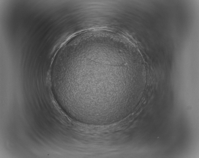 X0000068260002200604241244