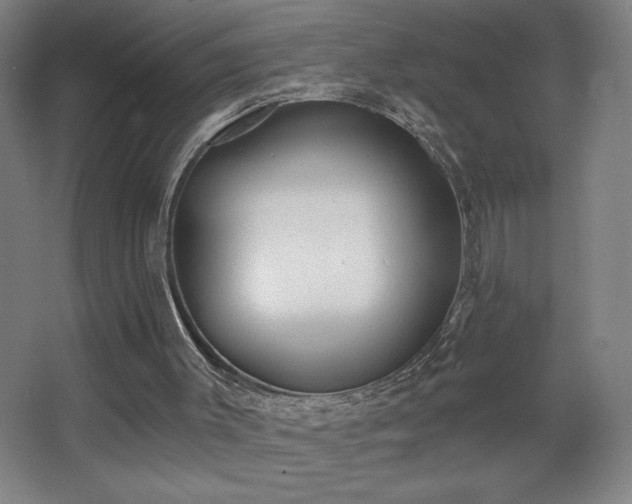 X0000068260003200604241244