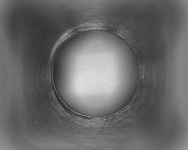 X0000068260004200604241244