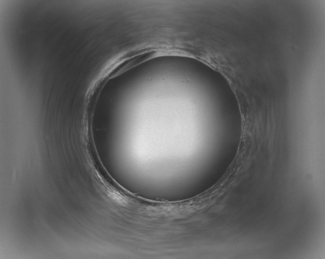 X0000068260005200604241244