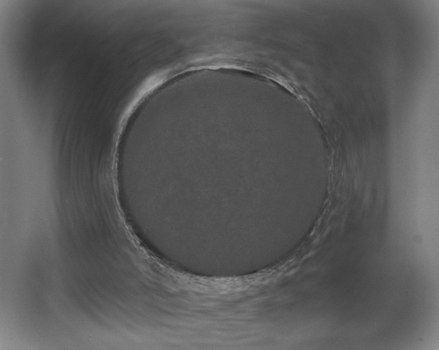 X0000068260006200604241244