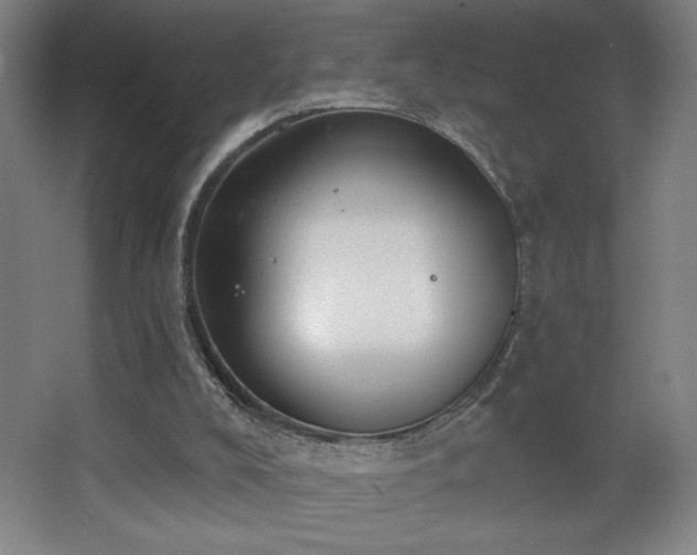 X0000068260008200604241244