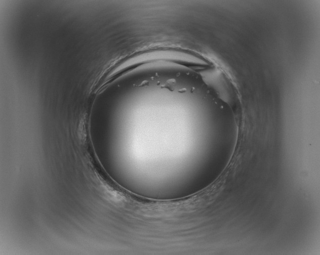 X0000068260009200604241244