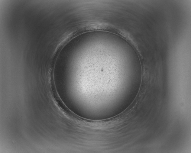 X0000068260010200604241244