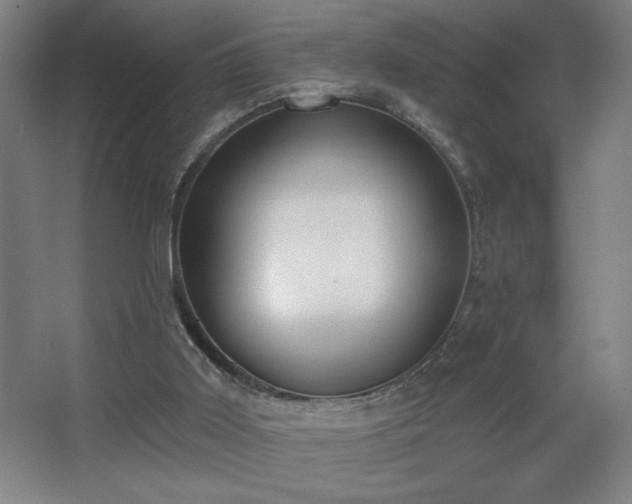 X0000068260011200604241244