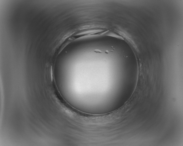 X0000068260013200604241243