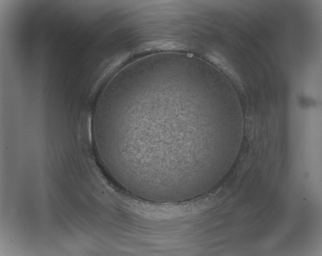 X0000068260014200604241243