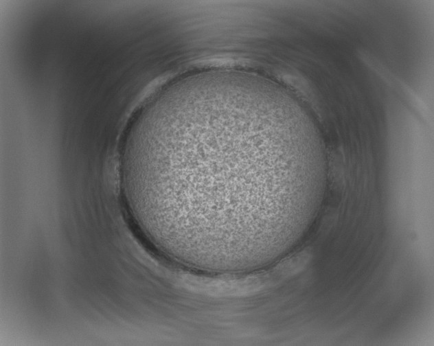 X0000068260016200604241243