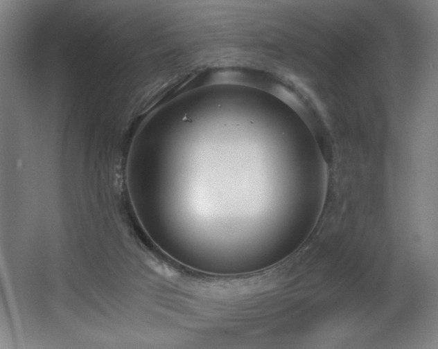 X0000068260017200604241243