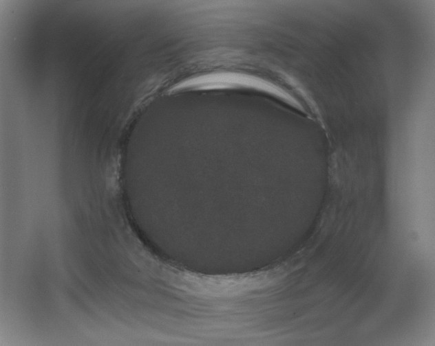 X0000068260018200604241243