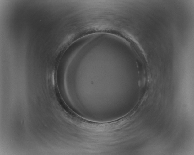 X0000068260019200604241243