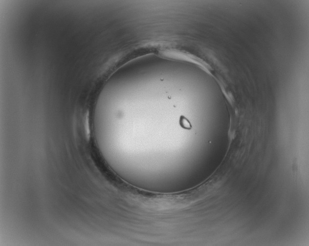 X0000068260020200604241243