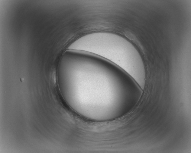 X0000068260021200604241243