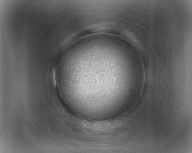 X0000068260022200604241243