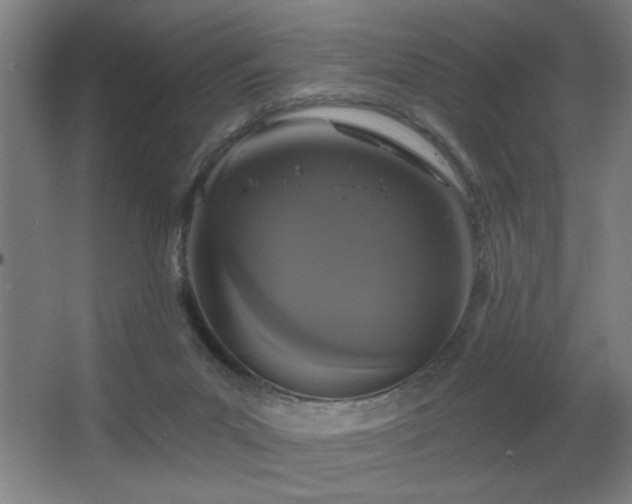 X0000068260023200604241243