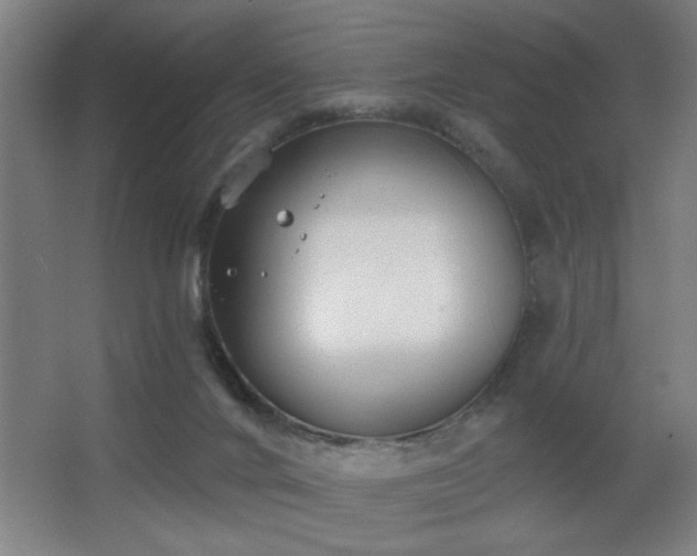 X0000068260024200604241243