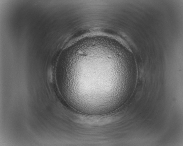 X0000068260026200604241243