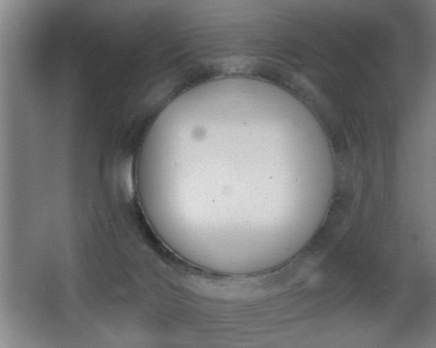 X0000068260028200604241243