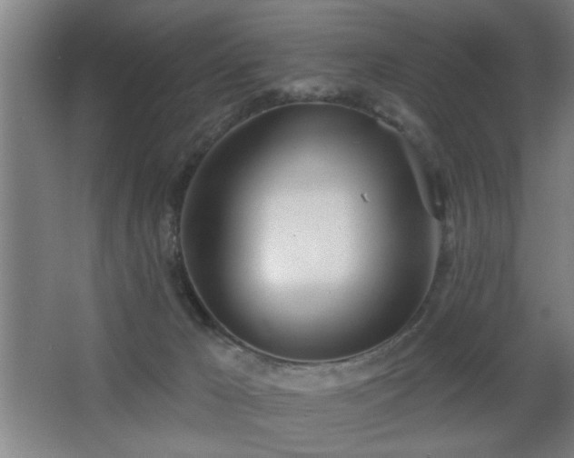 X0000068260029200604241243