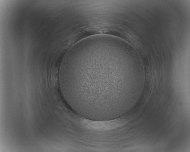 X0000068260030200604241243