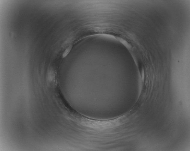 X0000068260031200604241243