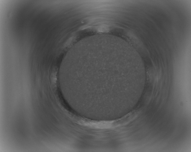 X0000068260032200604241243