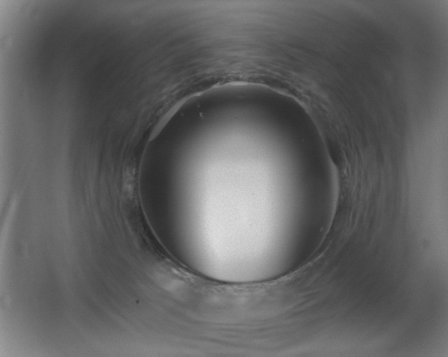 X0000068260033200604241243