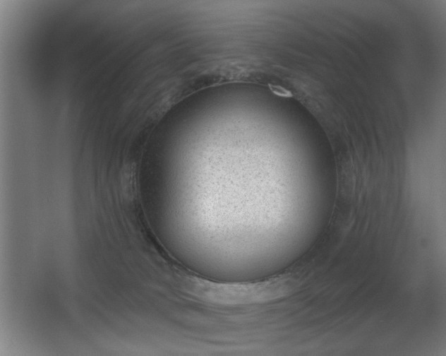 X0000068260034200604241243