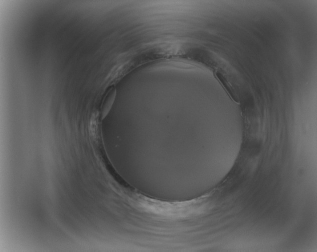 X0000068260035200604241243