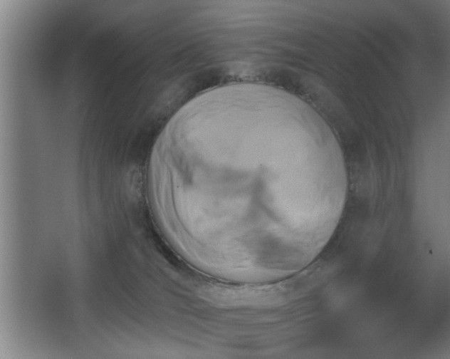 X0000068260036200604241243