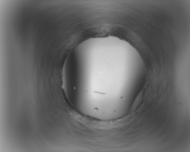 X0000068260037200604241243