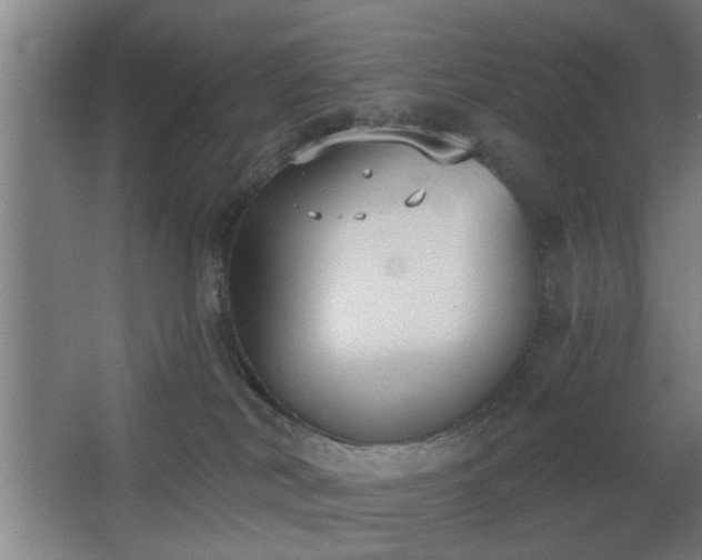 X0000068260038200604241243