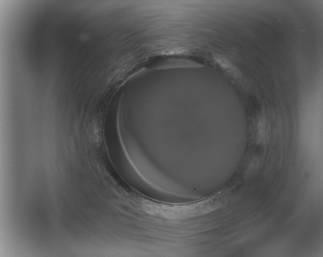 X0000068260039200604241243