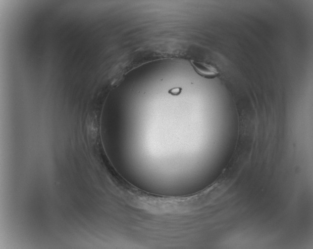 X0000068260040200604241243