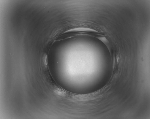 X0000068260041200604241243